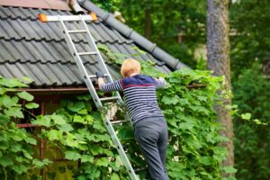 Regenrinnenreinigung Bremen – Leiter am Dach