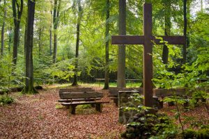 Holzbänke und Kreuz im Wald