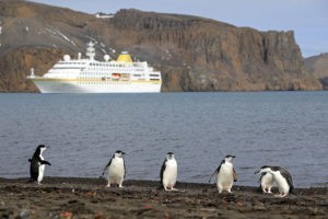 Antarktis Kreuzfahrt Bremen: MS Hamburg bei Deceptiobn Island, imVordergrund Pinguine einer Kolonie.