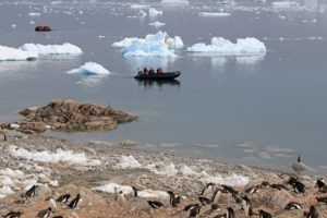 Antarktis Kreuzfahrt Bremen: Touristen werden mit Zodiacs, Schlauchbooten, an Land gebracht. Pinguinkolonie an der Küste.