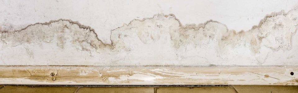 Wasserschaden Bremen