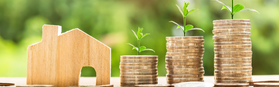 Modernisierungskredit Burak Dilek Immobilien und Finanzen: ein Symbolbild für eine Sparanlage - ein Holzhaus und Münzstapel, aus denen Pflanzen wachsen